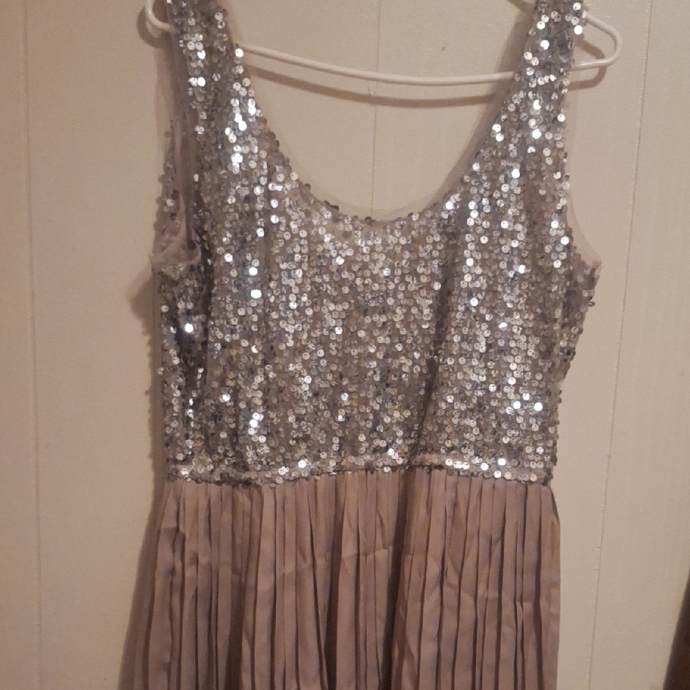 BB Dakota Shimmering Silver Sequin Top